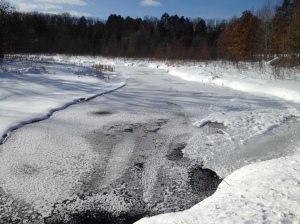 A Near-Frozen Culbertson Creek.