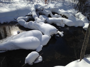 A snowy, but flowing, creek.